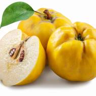 Саджанець Айва Анжерська (яблуковидна)